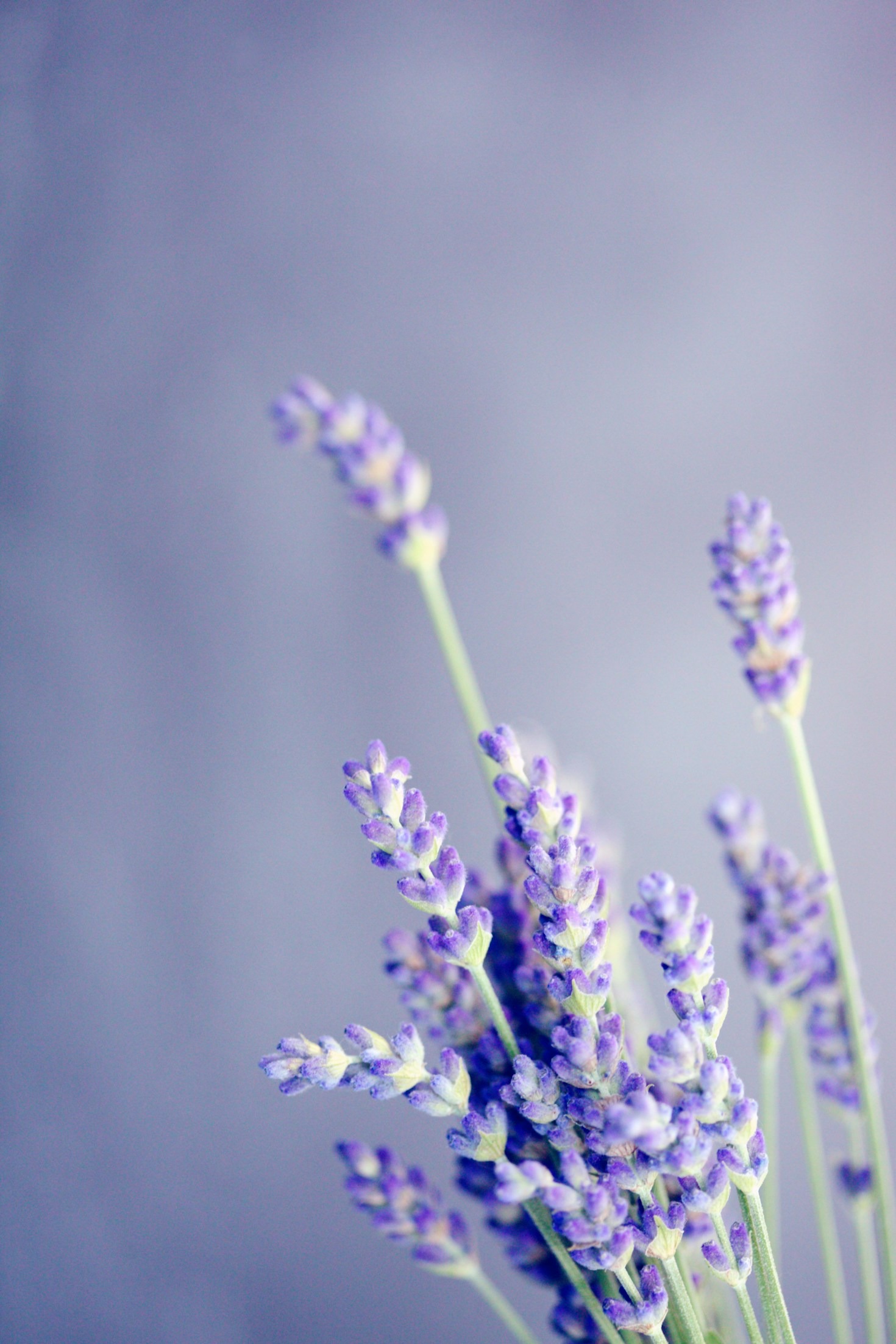 5 Benefits of Mobile Massage Therapy